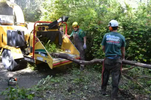 tree services Pawnee